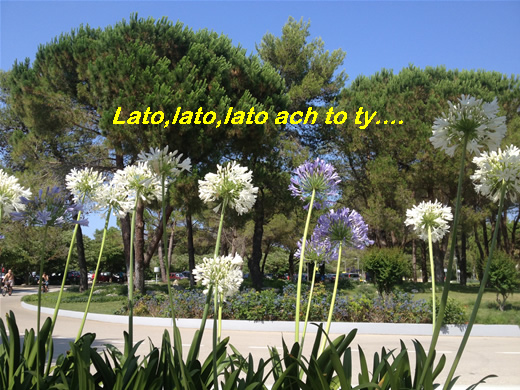 Lato-2025